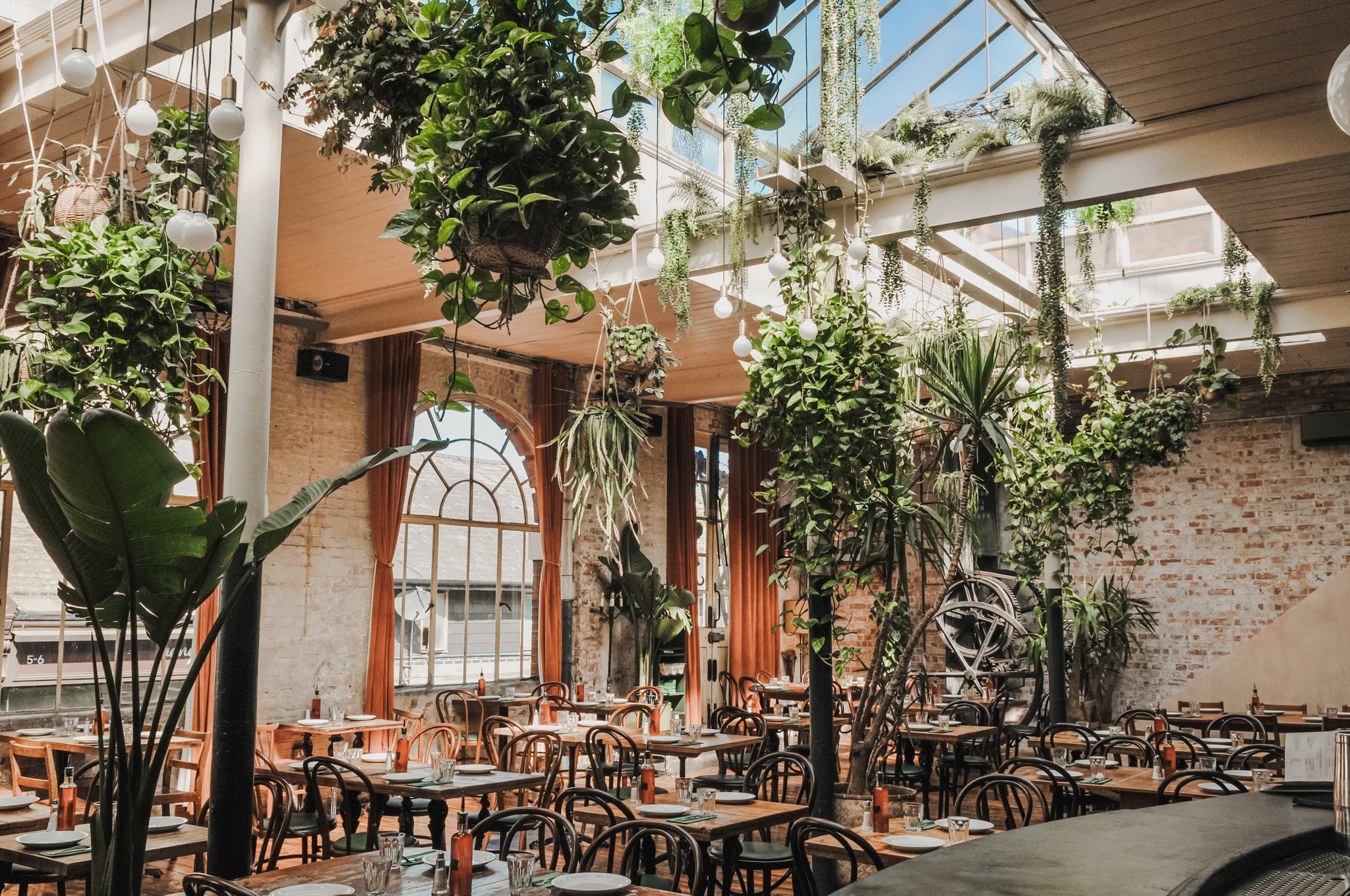 A spacious restaurant with wooden tables and chairs, filled with hanging and potted plants. Natural light pours in through skylights and large windows. The interior features exposed brick walls and high ceilings, creating a calm and inviting atmosphere.