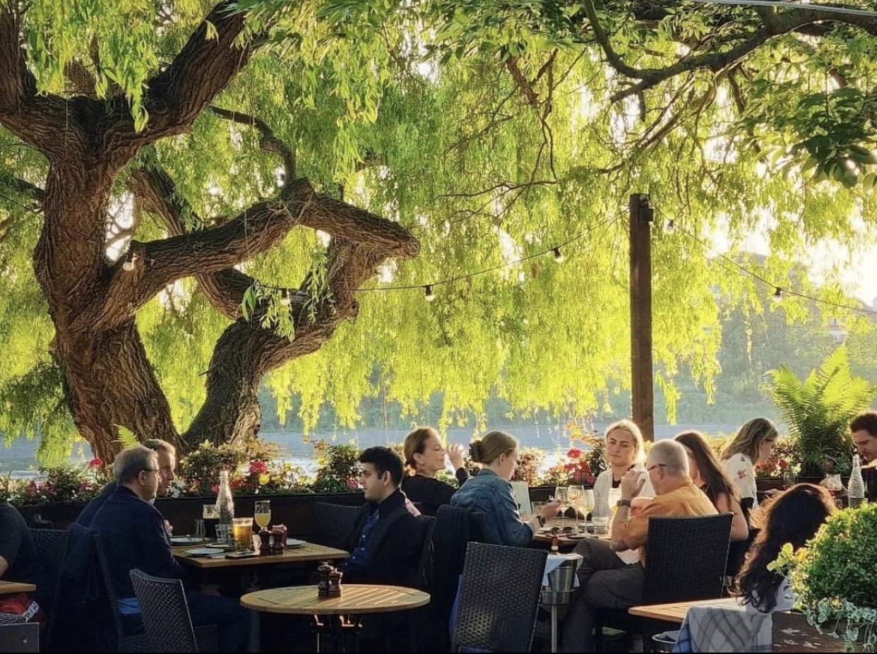 A group of people are enjoying a meal at an outdoor restaurant with wooden tables and wicker chairs. The setting is shaded by a large, leafy tree adorned with string lights. Flower boxes add a touch of vibrant color to the relaxed ambiance.