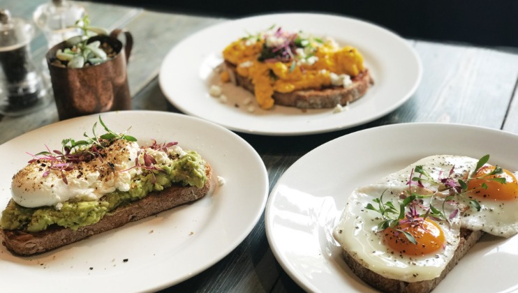 Three plates are on a table, each with a slice of toasted bread. One has mashed avocado and a poached egg, another has scrambled eggs and herbs, and the third has two sunny-side-up eggs with microgreens. A small copper pot with a plant is in the background.