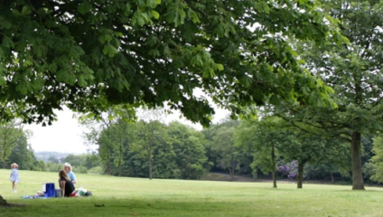 A family enjoys a picnic under the shade of a huge tree in Bulle Hill Park in Salford