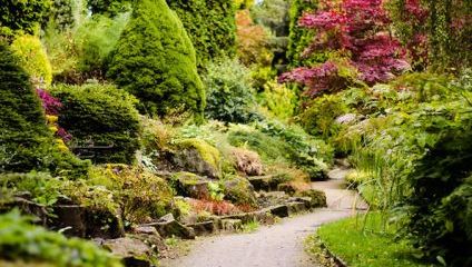 A serene garden path winds through lush greenery, surrounded by a variety of plants and trees in vibrant shades of green, red, and yellow. Stone steps and rocky details add charm to the natural landscape, creating a peaceful retreat.