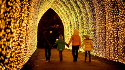 A mother leads her three children through a tunnel of golden Christmas lights in Kew Gardens