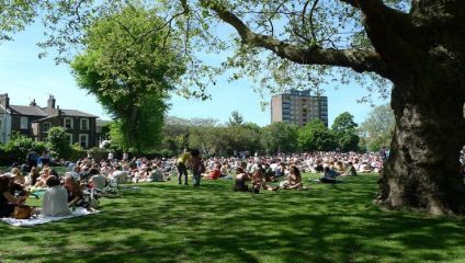 A large group of people relax and socialize on a green lawn in a park on a sunny day. They are sitting and lying on blankets under the shade of a tall tree. In the background, there are trees, residential buildings, and a high-rise apartment building.