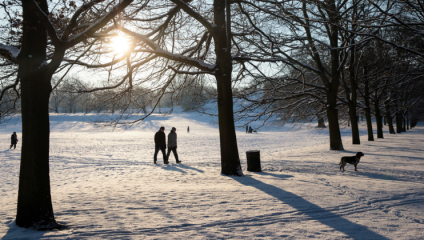 Two sillhouettes walk through the snow in a London park lined with trees