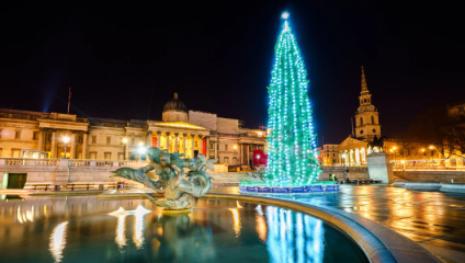 The giant Christmas tree in Trafalgar Square is lit up with blue lights against the backdrop of the National Gallery under the night sky.