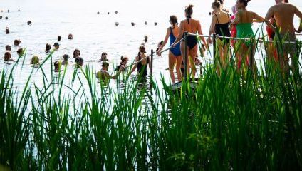 A group of people in swimsuits are standing by the edge of a lake, some preparing to enter the water while others are already swimming. Tall green reeds in the foreground partially obscure the view of the lake. The scene is bright and sunny.