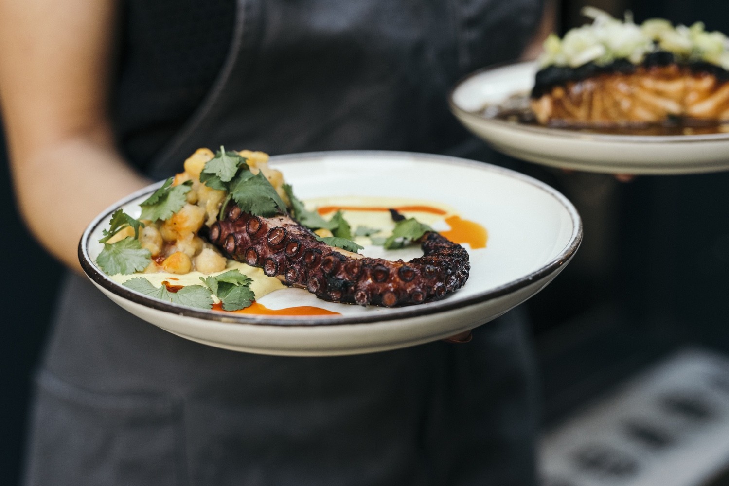 A person in a dark apron holds a plate with a grilled octopus tentacle garnished with herbs, potatoes, and a light sauce. Another dish, partially visible, is also being held, showing leafy greens and a browned surface. Both plates have elegant presentations.