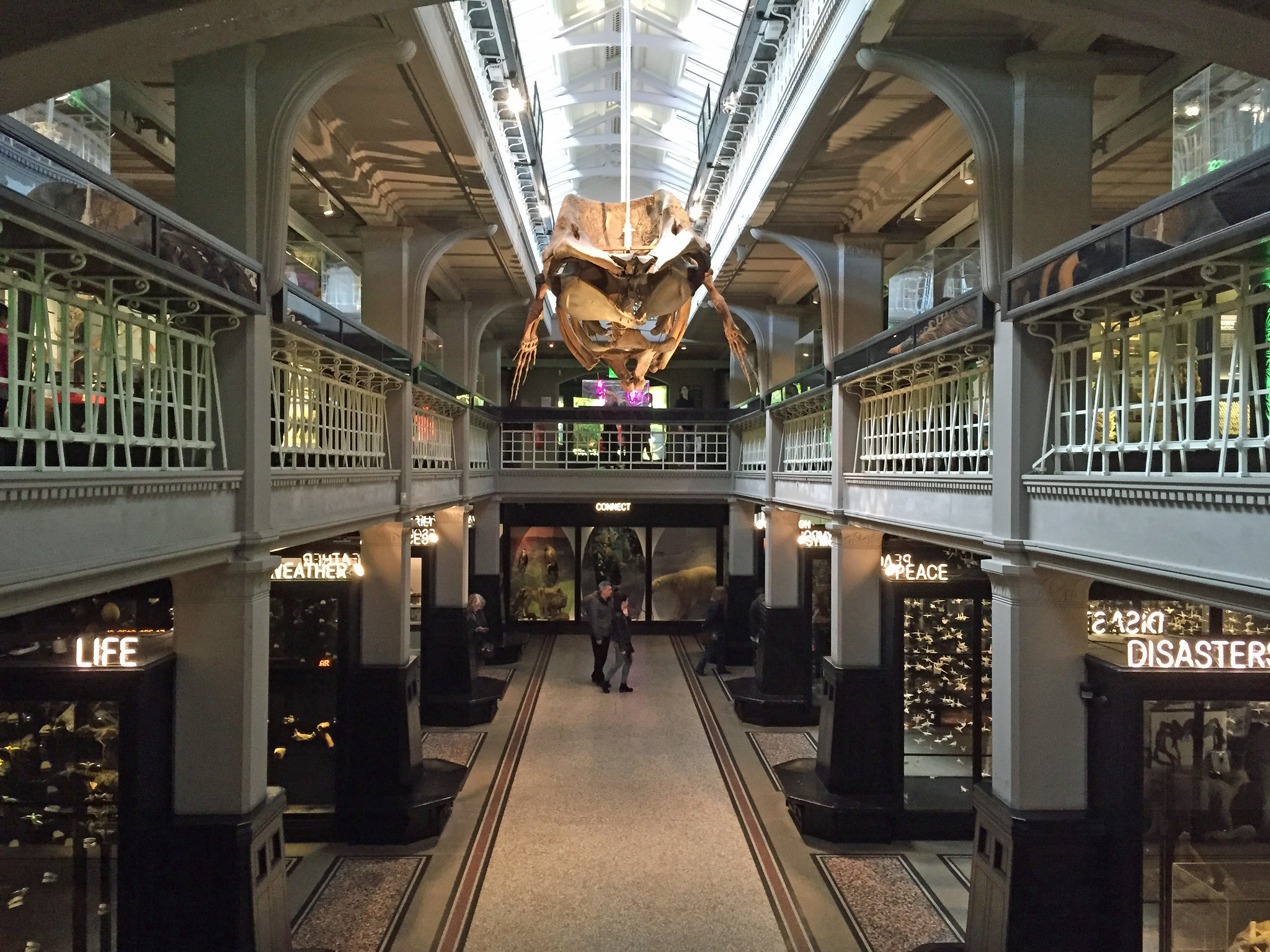 View over the atrium at Manchester Museum. Neon signs for various exhibitions can be seen circling the lower floor while a skeleton of sperm whale is shown suspended from the ceiling.