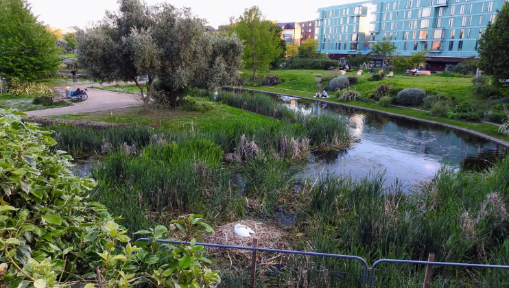 A serene park scene featuring a pond surrounded by lush greenery. A white bird nests in the pond's foliage. People are relaxing in the background near modern buildings. Trees and plants add to the tranquil atmosphere of the park.