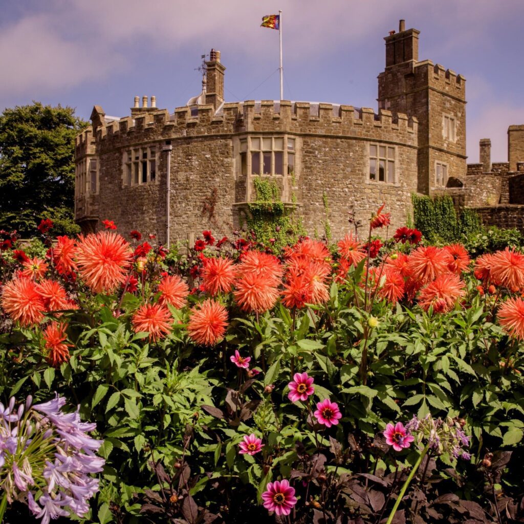 A historic stone castle with crenellated walls stands prominently under a partly cloudy sky. In the foreground, vibrant red dahlias and various other blooming flowers create a colorful garden scene, contrasting with the castle's ancient architecture. A flag flies atop the castle.