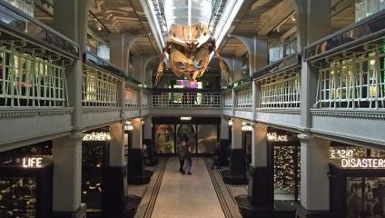 View over the atrium at Manchester Museum. Neon signs for various exhibitions can be seen circling the lower floor while a skeleton of sperm whale is shown suspended from the ceiling.