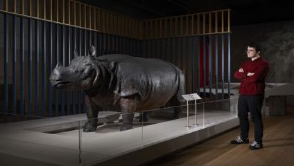 Louis XV’s rhinoceros in Versailles: Science and Splendour at the Science Museum