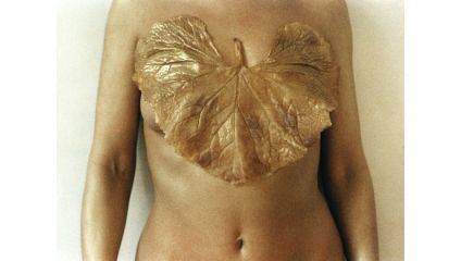 A close-up image shows a person's torso with a large, golden, leaf-shaped object covering the chest. The object resembles an oversized leaf and is positioned over the heart area, creating a visually striking effect.