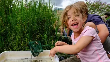 Pond Dipping every day during summer holidays