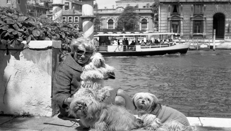 A person in sunglasses sits near a canal with three small, fluffy dogs. They are holding one dog while two others sit by their side. A boat full of passengers is in the background, and buildings line the canal. It's a sunny day.